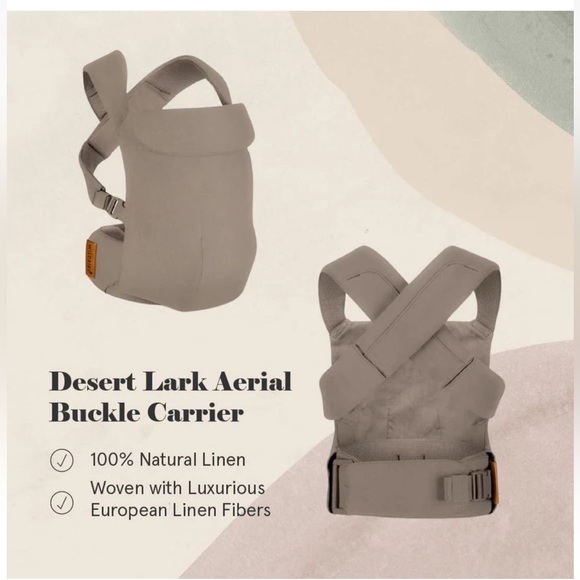 COPY - Wilbird - Picture 14 of 15